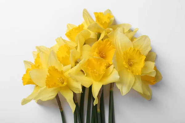 Mooie Gele Narcissen Witte Achtergrond Bovenaanzicht — Stockfoto