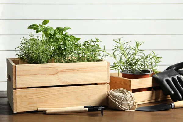Κάσα Διάφορα Αρωματικά Φυτά Και Εργαλεία Κηπουρικής Ξύλινο Τραπέζι — Φωτογραφία Αρχείου