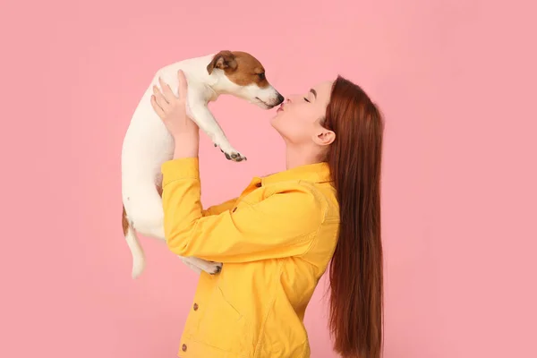 stock image Woman kissing her cute Jack Russell Terrier dog on pink background