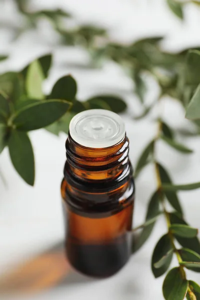 Eine Flasche Ätherisches Eukalyptusöl Und Pflanzenzweige Auf Weißem Tisch — Stockfoto