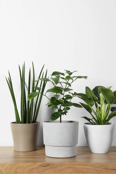 Many Different Houseplants Pots Wooden Table White Wall Space Text — Stock Photo, Image