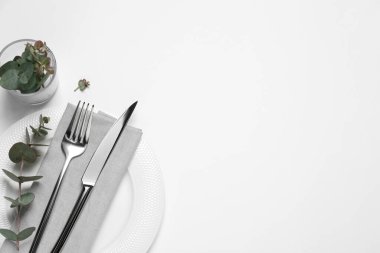 Çatal bıçak takımları ve okaliptüs yaprakları beyaz arka planda, üst manzara. Metin için boşluk