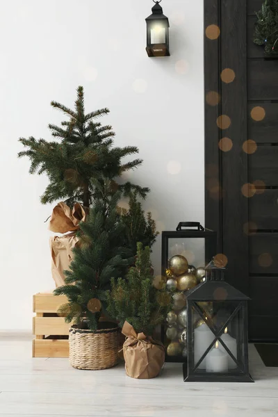 Krásné Jedle Různé Vánoční Výzdoba Vnitřní — Stock fotografie