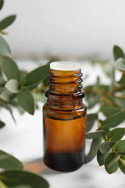 Botol Minyak Esensial Eukaliptus Dan Tanaman Cabang Atas Meja Putih — Stok Foto