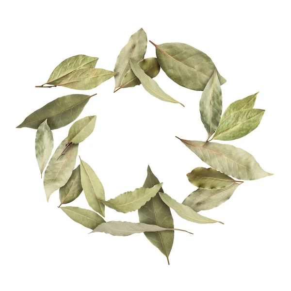Circle of dry bay leaves on white background