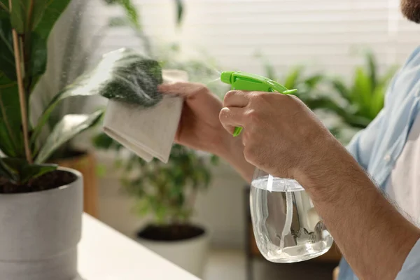 Homem Pulverizando Belas Plantas Sala Vaso Com Água Dentro Casa — Fotografia de Stock