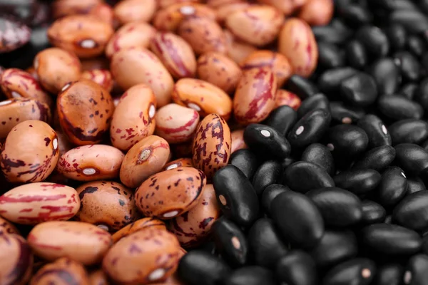 豆の異なる種類の背景として クローズアップ — ストック写真