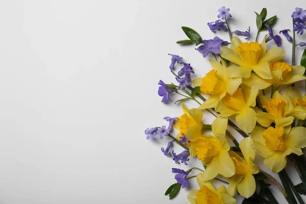 Lindos Narcisos Amarelos Flores Periwinkle Fundo Branco Vista Superior Espaço — Fotografia de Stock
