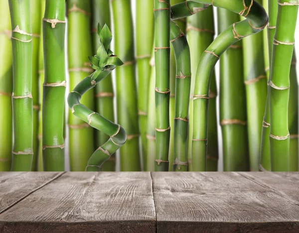 在绿色竹子茎的衬托下 木制表面是空的 设计空间 — 图库照片