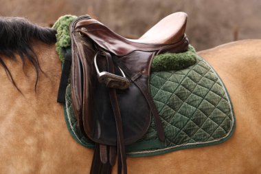 Dışarıda eyerli bir at, yakın plan. Sevimli evcil hayvan