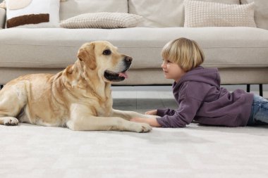 Evinde yerde Golden Retriever 'ı olan sevimli küçük bir çocuk. Sevimli hayvan.