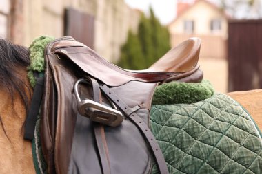 Dışarıda eyerli bir at, yakın plan. Sevimli evcil hayvan