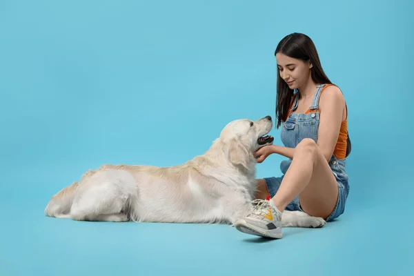 Mulher Com Cão Bonito Labrador Retriever Fundo Azul Claro Adorável — Fotografia de Stock