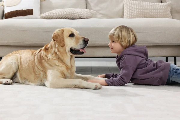 Cute Little Child Golden Retriever Floor Home Adorable Pet — Stock Fotó
