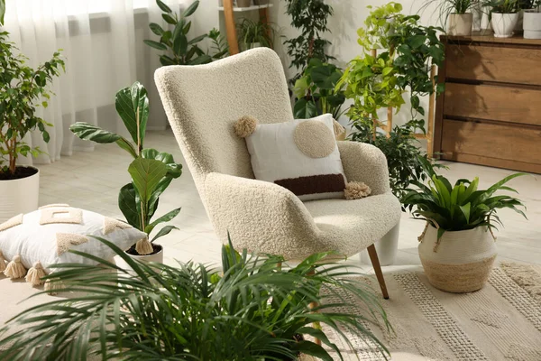 Entspannte Atmosphäre Viele Verschiedene Topfpflanzen Rund Stilvollen Sessel Zimmer — Stockfoto