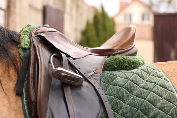 Dışarıda eyerli bir at, yakın plan. Sevimli evcil hayvan