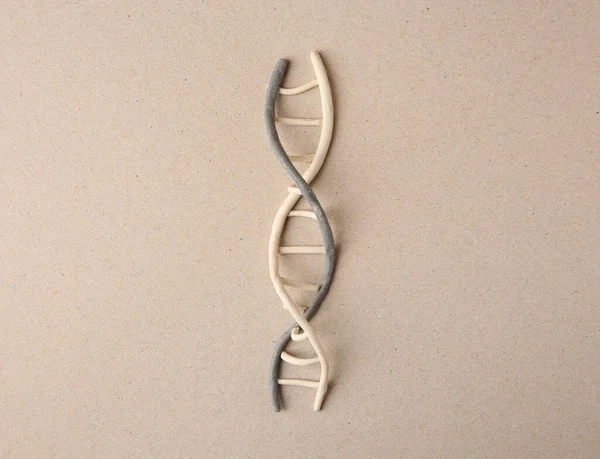 Plasticine model of DNA molecular chain on beige background, top view