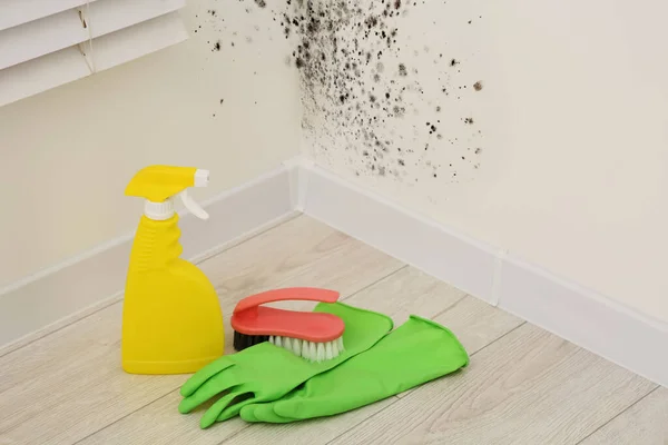 Mold Remover Spray Bottle Rubber Gloves Brush Floor Affected Walls — Stock Photo, Image