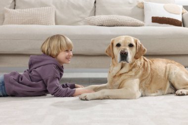 Evinde yerde Golden Retriever 'ı olan sevimli küçük bir çocuk. Sevimli hayvan.