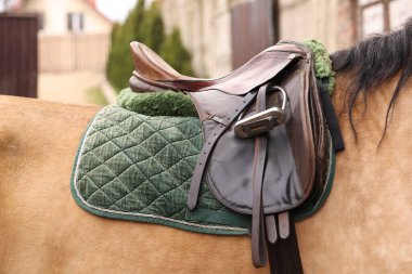 Dışarıda eyerli bir at, yakın plan. Sevimli evcil hayvan