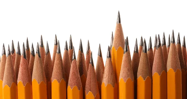 Many sharp graphite pencils isolated on white