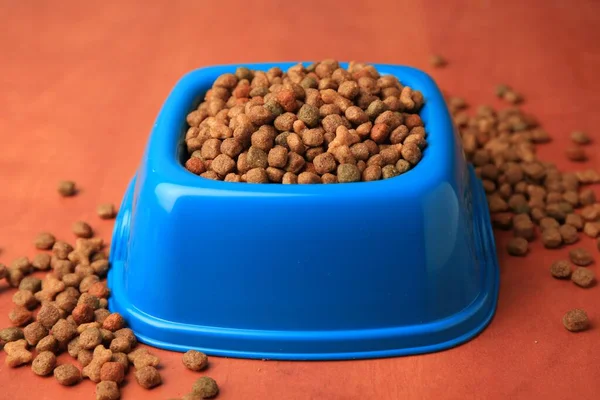 Dry pet food in feeding bowl on orange background, closeup