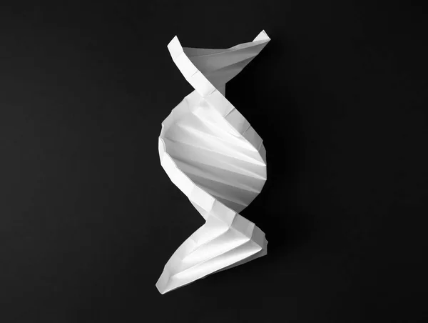 Paper model of DNA molecular chain on black background, top view