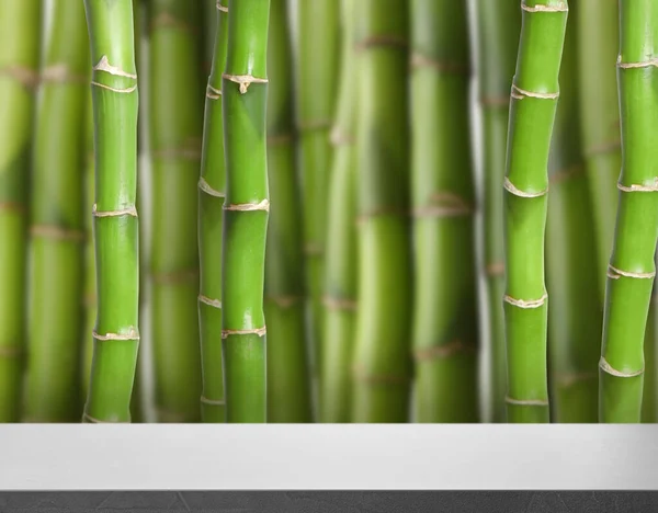 Empty Grey Surface Green Bamboo Stems Space Design — Stock Photo, Image