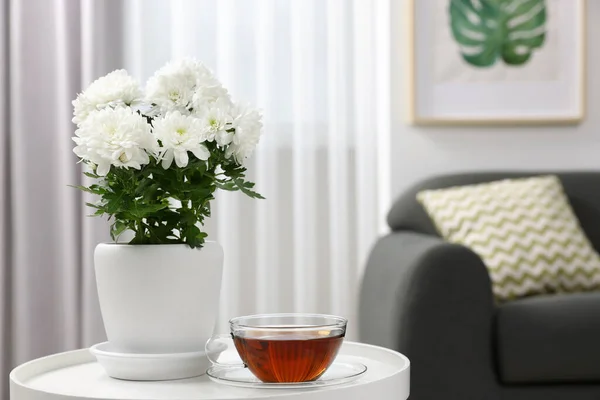 Belle Plante Chrysanthème Pot Fleurs Tasse Thé Sur Table Blanche — Photo