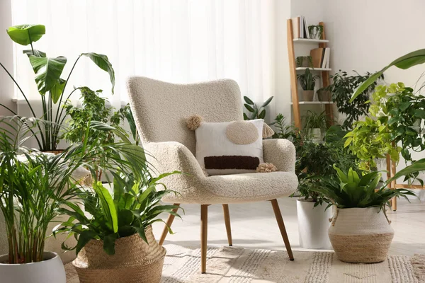 Entspannte Atmosphäre Viele Verschiedene Topfpflanzen Rund Stilvollen Sessel Zimmer — Stockfoto