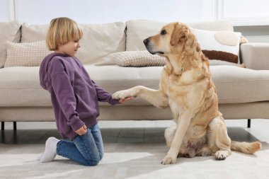 Evinde yerde Golden Retriever 'ı olan sevimli küçük bir çocuk. Sevimli hayvan.