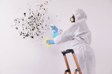 Koruyucu giysili ve lastik eldivenli bir kadın küf çıkarıcı ve duvar bezi kullanıyor.
