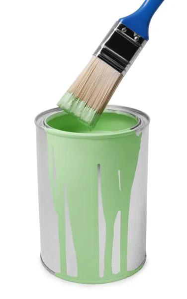 Pode Com Tinta Verde Clara Escova Fundo Branco — Fotografia de Stock