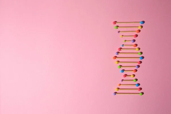 Model of DNA molecular chain on pink background, top view. Space for text