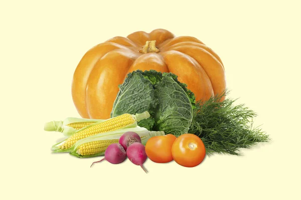Mnoho Různých Čerstvé Zeleniny Kopru Béžové Pozadí — Stock fotografie