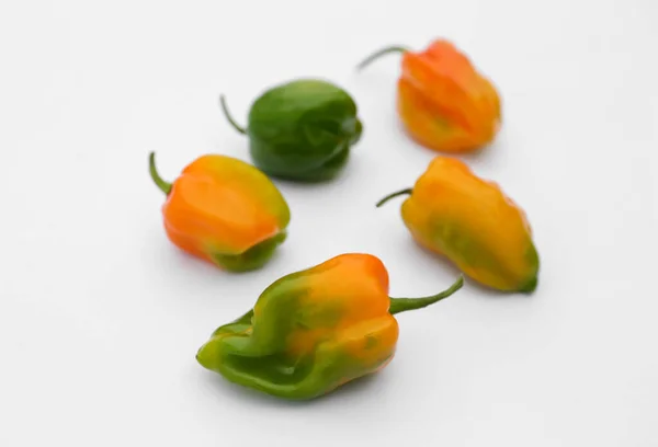 Different Fresh Raw Hot Chili Peppers White Background Closeup Stock Image