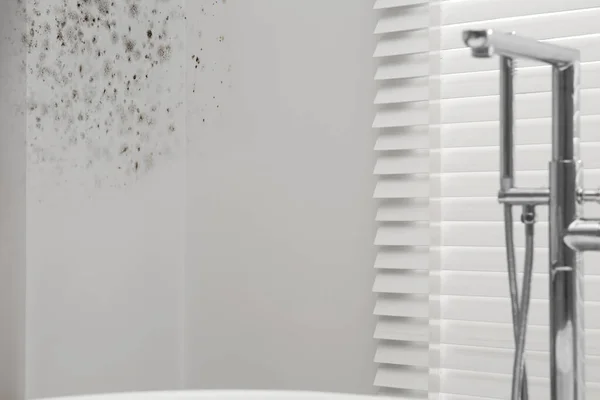 Paredes Blancas Afectadas Con Moho Baño — Foto de Stock