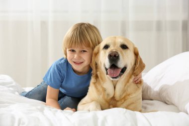 Evde yatağında Golden Retriever olan sevimli küçük bir çocuk. Sevimli hayvan.