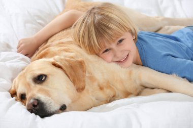 Yatağında Golden Retriever olan sevimli küçük bir çocuk. Sevimli hayvan.