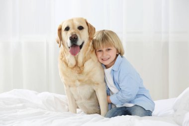 Evde yatağında Golden Retriever olan sevimli küçük bir çocuk. Sevimli hayvan.