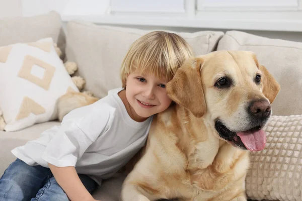Cute Little Child Golden Retriever Sofa Home Adorable Pet — Photo
