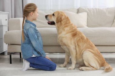 Evde yerde Labrador Retriever 'ı olan sevimli bir çocuk. Sevimli hayvan.