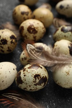Benekli bıldırcın yumurtası ve tüyleri siyah desenli masada, yakın plan.