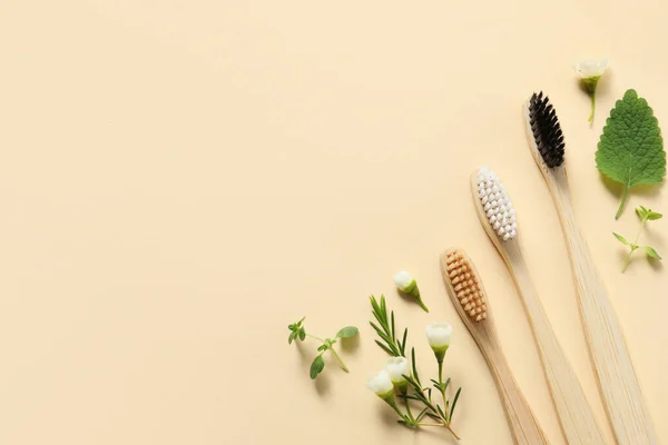 Flat Lay Composition Toothbrush Herbs Beige Background Space Text — Stock Photo, Image