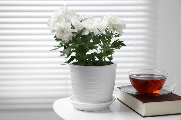 Όμορφο Φυτό Χρυσάνθεμο Γλάστρα Φλιτζάνι Τσάι Και Βιβλίο Λευκό Τραπέζι — Φωτογραφία Αρχείου