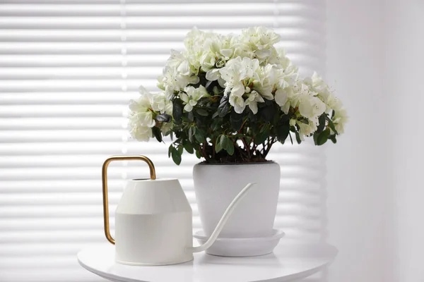 Bela Planta Azálea Vaso Flores Regador Mesa Branca Dentro Casa — Fotografia de Stock
