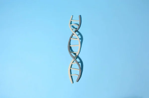 stock image DNA molecule model made of colorful plasticine on light blue background, top view