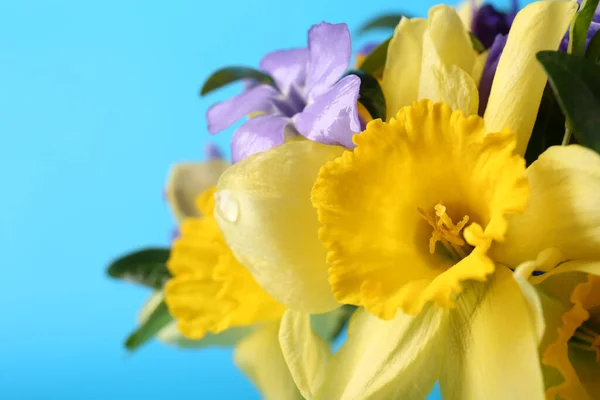 Ramillete Hermosos Narcisos Amarillos Flores Periwinkle Sobre Fondo Azul Claro —  Fotos de Stock