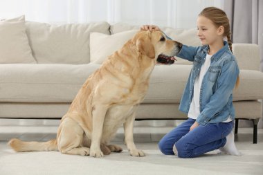 Evde yerde Labrador Retriever 'ı olan sevimli bir çocuk. Sevimli hayvan.