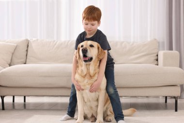 Evde Labrador Retriever 'ı olan sevimli bir çocuk. Sevimli hayvan.
